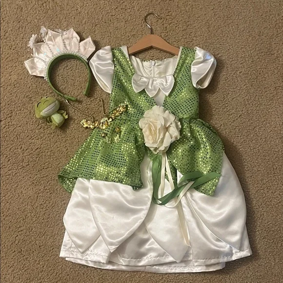 Home Sewn Princess Tiana Costume - Picture 1 of 7